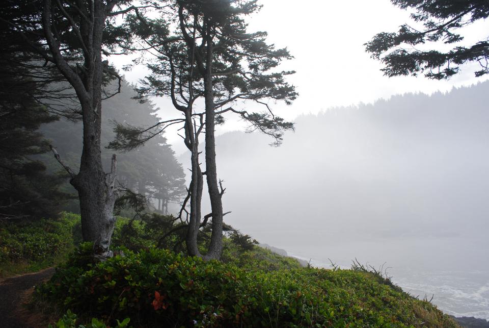 foggy coast oregon hiking crowded days shutterbug trails normal along less winter than summer